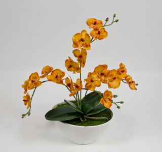 Dieses moderne Orchideen Arrangement hat mit der Dekoschale eine Höhe