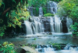 FOTOTAPETE Komar Wasserfall Tapete PURA KAUNUI FALLS 57