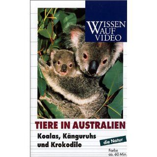 Tiere in Australien   Koalas, Känguruhs und Krokodile [VHS] 