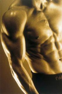 Poster Male Torso Mann Körper Oberkörper Muskel Muskeln