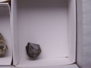schöner Grossular (Granat), Russland (CB127 54)
