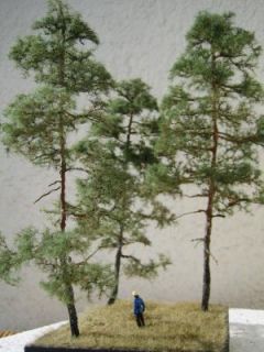Modellbaum Kiefer, 18 cm hoch, Handarbeitsmodell, Diorama Baum