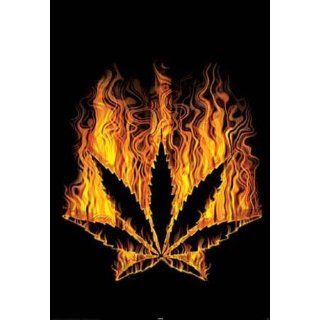 Dope   Burning Leafs   Fun Poster Haschisch Cannabis Hanf Gras