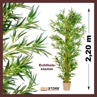  Strauch, Echtholzstamm, Kunstbaum, Kunstpflanze, Bambusbaum   220 cm