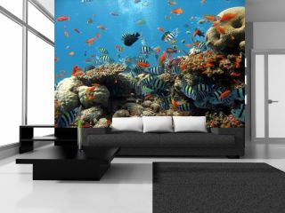 Wandbild Fototapete Fische Meer Unterwasserwelt 254x184 cm inkl