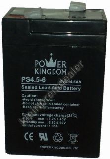Power Kingdom PS4,5 6, oder HPG06045 stationäre Bleibatterie in AGM