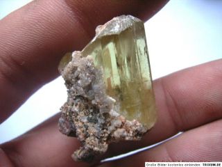 Gold gelbe APATIT Kristallstufe aus Mexiko 