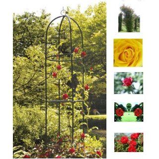 MQ Rosensäule Obelisk Ranksäule Rankhilfe Blumengitter Pflanzen