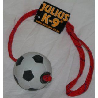 242MS FUSSBALL Ball mit Schnur   schwimmfähig   Julius K9 Fußball