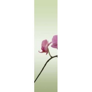 Flächenvorhang, Orchidee links, UNLAND youngline, 245cmx60cm