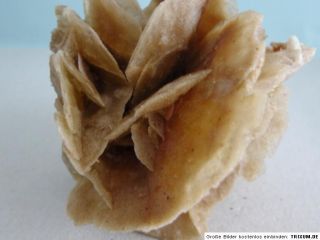 Wüstenrose, Gips xx aus Tunesien, 11,0 x 8,0 x 7,0 cm, 352 g