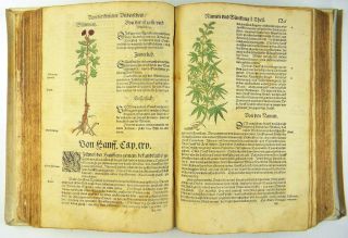 BOCK KRÄUTERBUCH KREUTTERBUCH HERBAL BOOK RIHEL STRAßBURG 1577/80