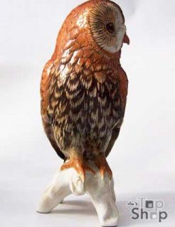 Waldkauz  Owl / KARL ENS Porzellan  Thuringia Porcelain figure 399
