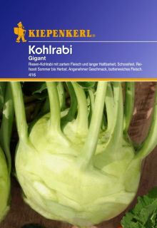 Kohlrabi 416 Gigant   für 100 Pflanzen Kiepenkerl Samen