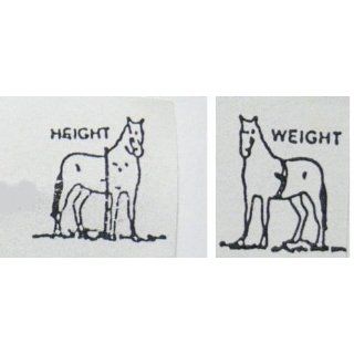 Massband zum Ermitteln des Gewichtes und des Stockmass von Pferden