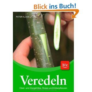 Xclou 342119 Veredelungsschere Baumarkt