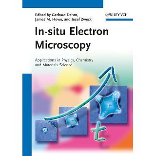 In situ Electron Microscopy Applications in Physics, Chemistry and
