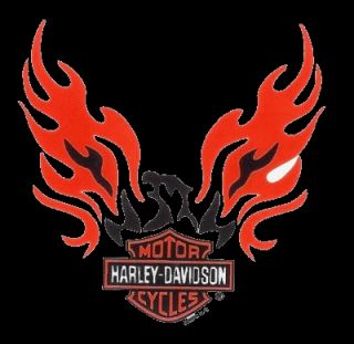 Harley Davidson Aufkleber Adler mit Bar + Shield 6x6cm Phoenix Eagle