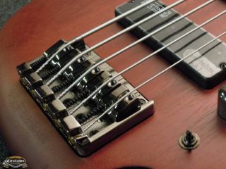 IBANEZ SR505F BM Fretless 5 String Sondermodell Special Model E Bass