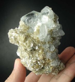 Fine Mineralien TOP Transparent Aquamarin,Muskovit ~ Xuebaoding