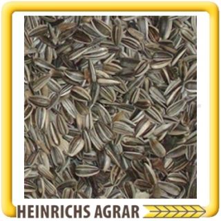 gestreifte Sonnenblumenkerne 25 kg Vogelfutter Fettfutter Winterfutter