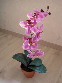 Orchidee Kunstpflanze Dekopflanze Seidenblume H 50 rose