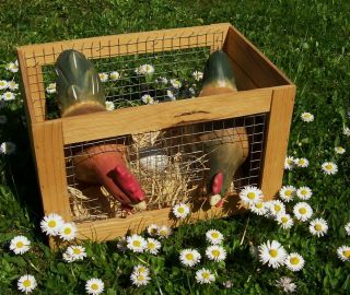 Gartendeko Hühnerstall Hühner Henne Ei aus Holz