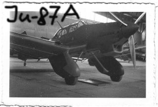 Orig. Foto, Luftwaffe Flugzeug, Junkers Ju 87 Stuka Bomber in Hangar