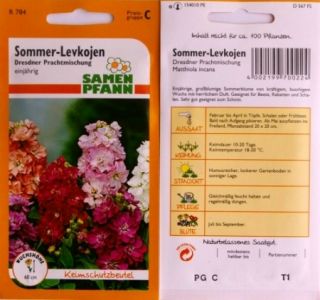 Sommer Levkojen   Dresdner Prachtmischung   Blumen Samen Saatgut