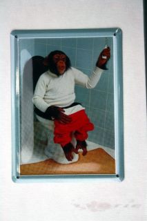 Blech Metall Schild Karte Fun Wand Deko Bild Toilette Schimpanse Affe