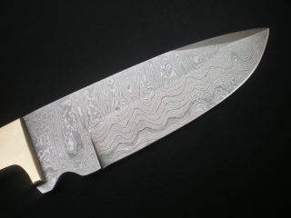 Damast messer Jagdmesser Damaststahl Damascus Steel Hunting Knife 2645