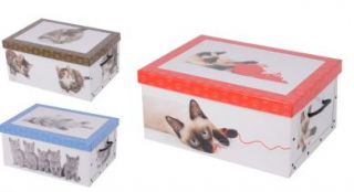 2er Aufbewahrungs Box mit Deckel Katzenmuster Kiste Karton Schachtel