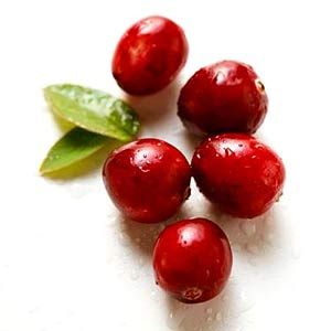 Cranberries mit Ananassaft gesüßt, getrocknet, natur, 1Kg