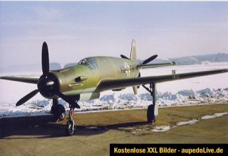 DO 335, Tankanzeige 1200 Liter, Deutsche Luftwaffe, 2.WK, Flugzeug