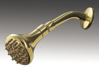Alsons 694 2010 Solid Brass Luxurious Shower Head, Polished Brass
