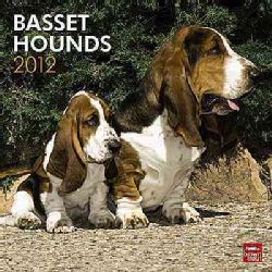 Basset Hounds 2012 Calendar (Calendar)