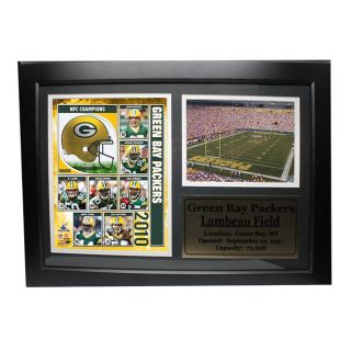 Encore Select 2010 NFC Champions Green Bay Packers Deluxe Frame