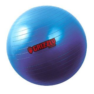 Grizzly Fitness 21.7 Inch Anti Burst Training Ball Sports