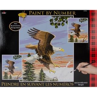 Paint By Number Kit   Eagle
