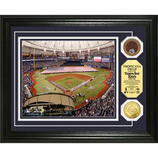 Tropicana Field Gold and Infield Dirt Coin Photo Mint See Price in