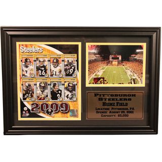2009 Pittsburgh Steelers 12x18 Framed Photo