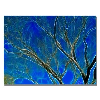 Kathie McCurdy Big Tree Canvas Art Today $54.99 Sale $49.49   $112
