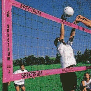 Volleyball Standards Spectrum Outdoor Pole & Net Set