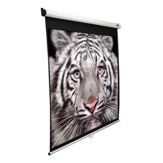 Manual M84NWV SRM Manual Projection Screen Today $113.78
