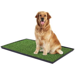 Prevue Pet Products Tinkle Turf for Large Dog Breeds