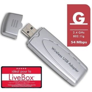 Netgear Cle WiFi 54g USB WG111   Achat / Vente CLE WIFI   3G Netgear
