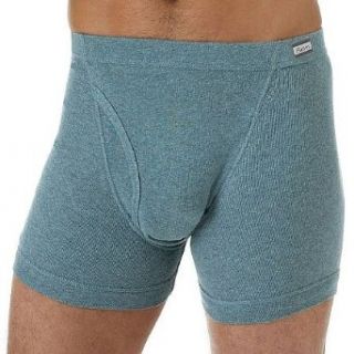 Hanes Mens ComfortSoft Boxer Brief (Pack of 2) Assorted