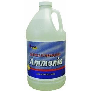Champion Packaging CH112 Extra Strength Ammonia (Pack of 8