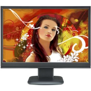 V7 19 Wide LCD monitor with integrated speakers, VGA and DVI connect