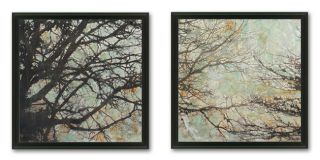 Framed Art Canvas Buy Contemporary Art Online